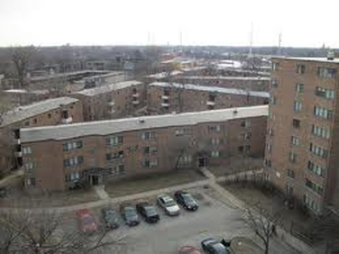 Parkway Gardens Chicago Gang History